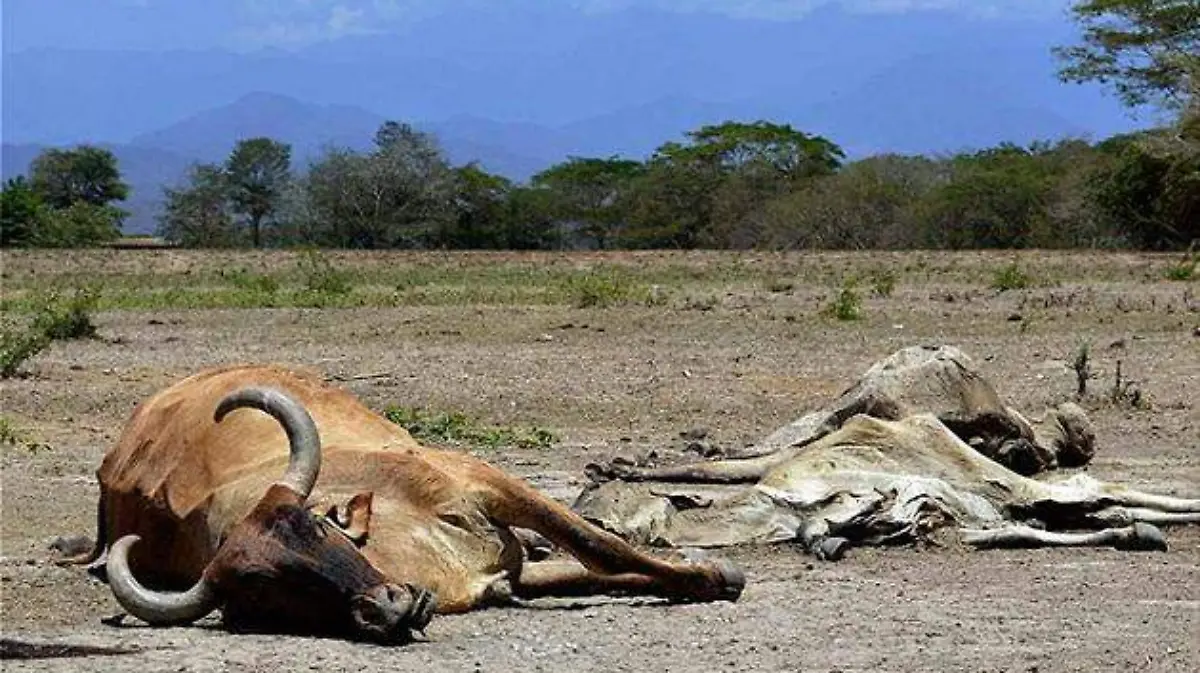 necesario reportar ganado muerto